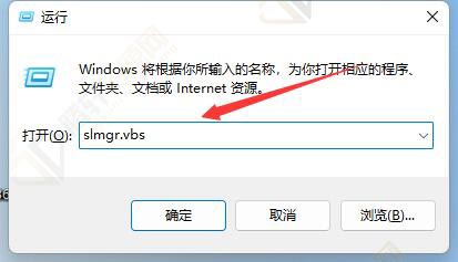 win11系统如何查询激活信息？Windows11系统查询激活信息方法教程