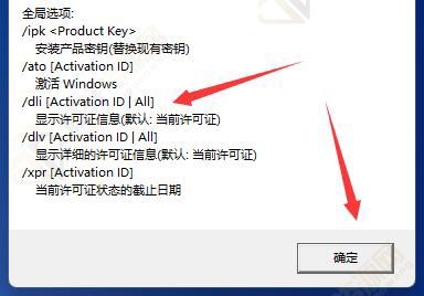 win11系统如何查询激活信息？Windows11系统查询激活信息方法教程