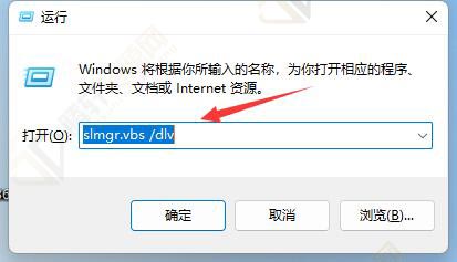 win11系统如何查询激活信息？Windows11系统查询激活信息方法教程