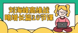 刘海峰高维战略增长篇10节课视频