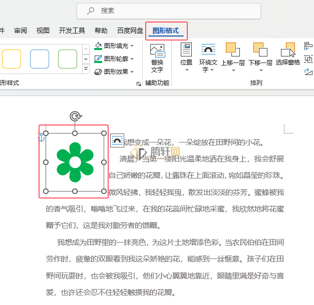 Word 2021中图标怎么设置绿色轮廓效果第2步