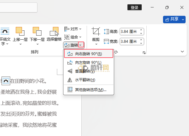 Word 2021如何设置图标向右旋转了90度第3步