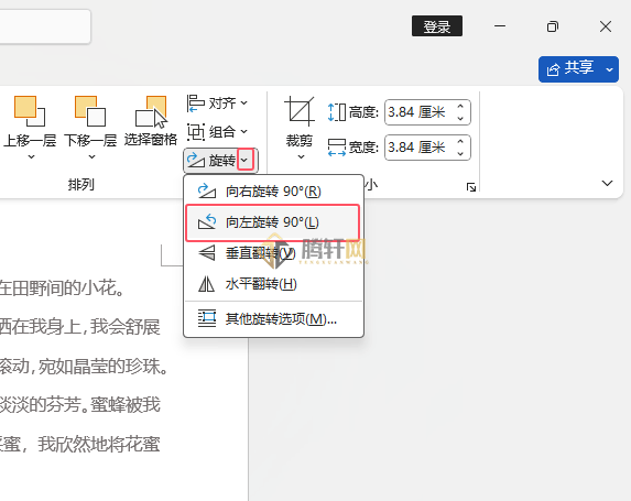 Word 2021如果把图标向左旋转90度效果第3步