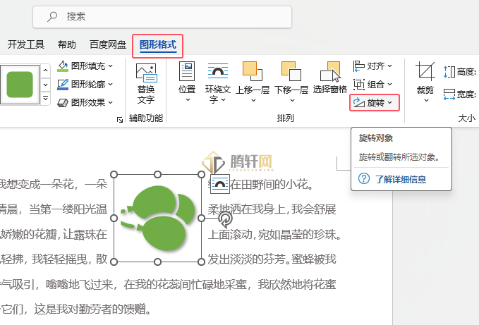 Word 2021如何设置水平翻转效果第2步