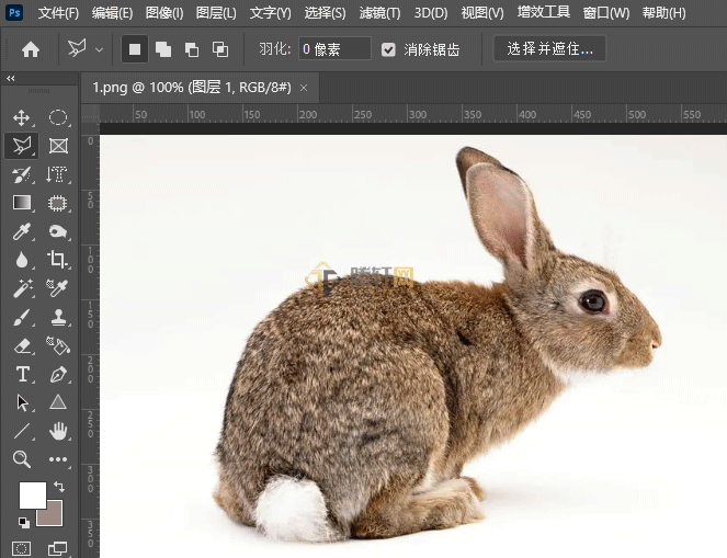 Photoshop套索工具怎么创建选区第2步