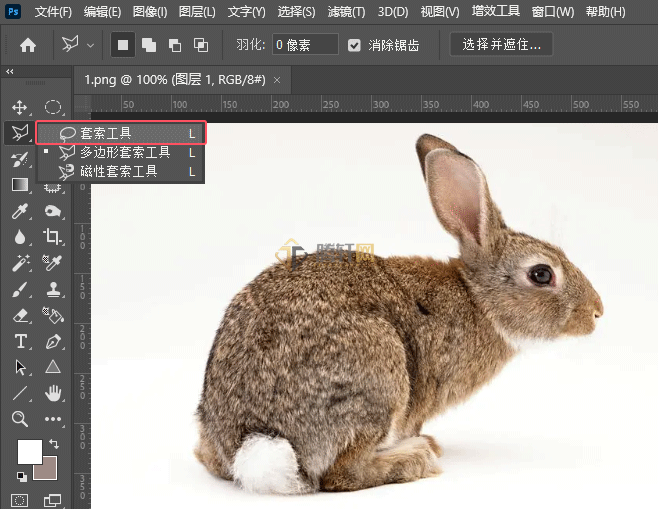 Photoshop套索工具怎么创建选区第3步