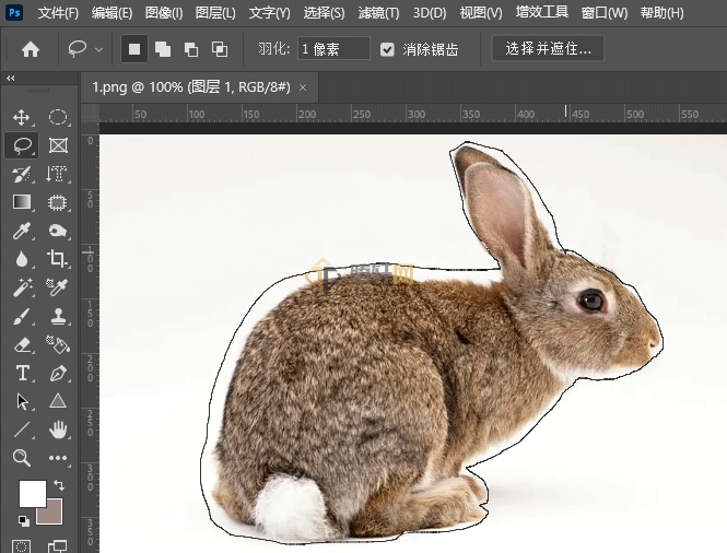 Photoshop套索工具怎么创建选区第4步