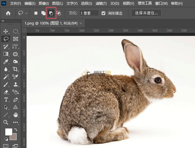 ps套索工具怎么减少选区内容第4步