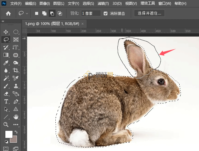 ps套索工具怎么减少选区内容第5步