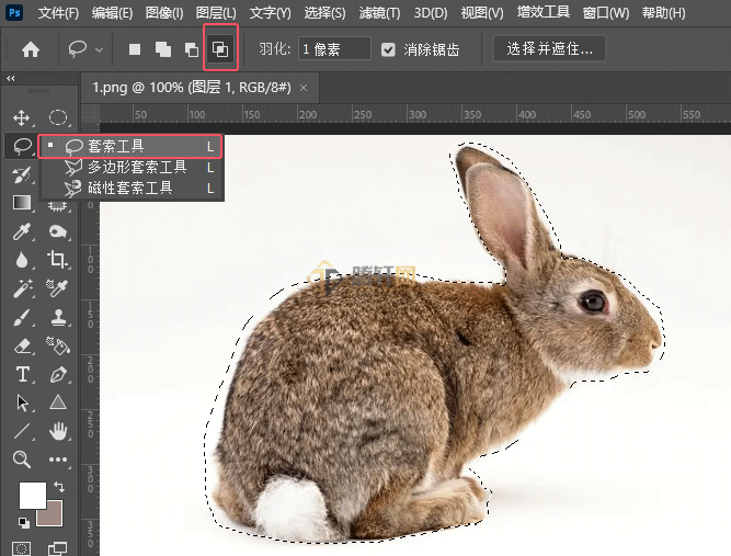 Photoshop套索工具如何使用选区交叉选项第2步