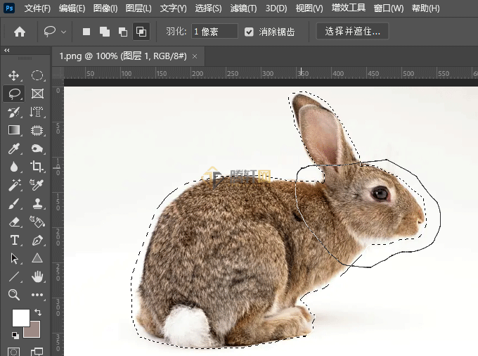 Photoshop套索工具如何使用选区交叉选项第3步