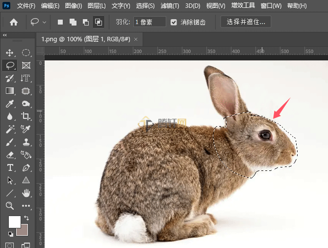 Photoshop套索工具如何使用选区交叉选项第4步