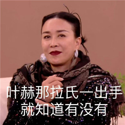 叶赫那拉氏那英表情包大全合集，叶赫那拉氏一出手就知道有没有