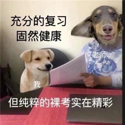 搞怪发疯表情包，趁姐还在微笑赶紧滚