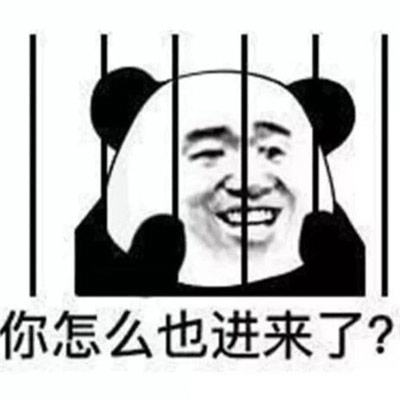 2024沙雕熊猫头怼人专用表情包，伤害人真有一套