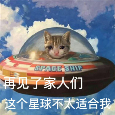 玩网人必备超快乐的表情包，再见了家人们这个星球不太适合我