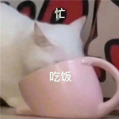 很炸裂的沙雕表情包最新，收获到很多趣味的表情包