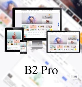 B2 PRO主题5.4.2 免授权开心版源码最新版